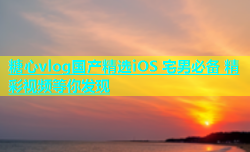 糖心vlog国产精选iOS 宅男必备 精彩视频等你发现